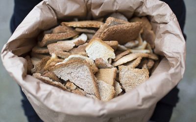 Offline Moment: Brewing Beer From Food Waste With Toast Ale
