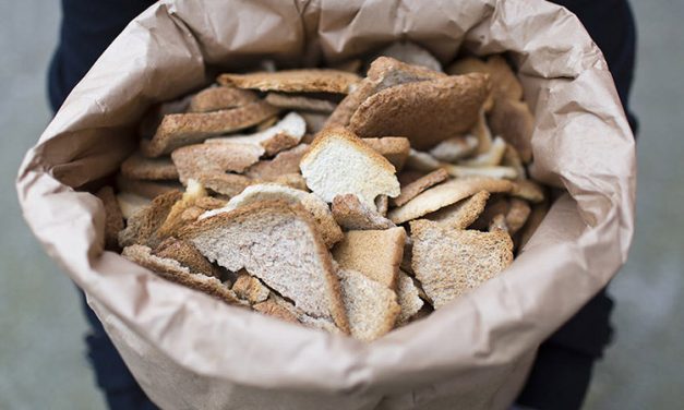 Offline Moment: Brewing Beer From Food Waste With Toast Ale