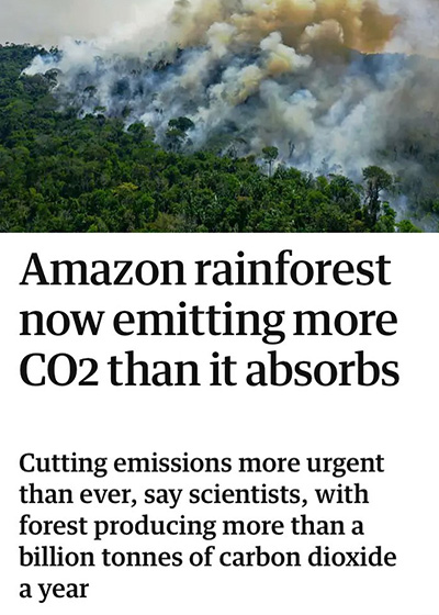 Why We Should Support Sustainable Companies Amazon Rainforest now emitting more CO2 than it absorbs